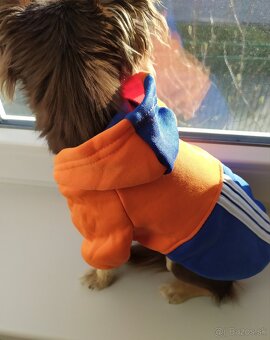 mikina pre psíka - 4