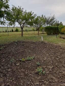 stavebný pozemok v Miloslavove - 4