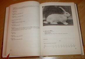Vzorník plemen králíku - 4