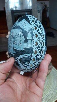 Pštros emu hnedý - 4
