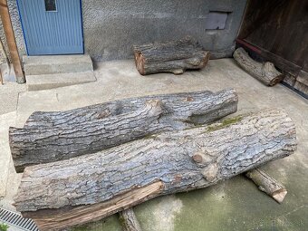 Orechové kmene, guľatina - 4