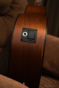 elektroakustika Ashton D26EQ BW - 4