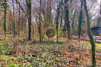 Na predaj rekreačný pozemok v kempingu pri rieke Váh -Sereď - 4