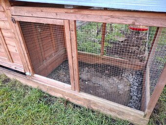 Kurník pre 4 nosnice - 4