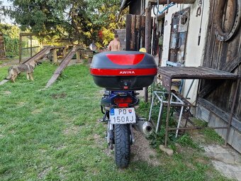 Suzuki Bandit 600 57kw 2002 - 4