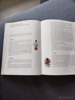 Lajos Lelkes - Nase izbove kvetiny - 4