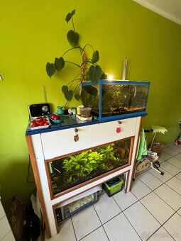 Ponuka akvárií - 4
