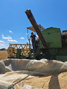 Predám pšenicu - 4