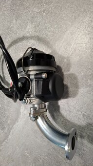 BABETTA DIELY - dellorto - 4