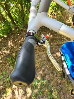 Thule Chariot CX1 - 4