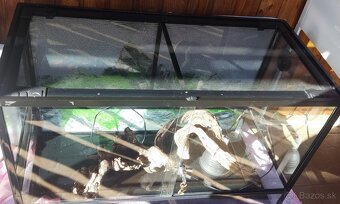 Terarium - 4