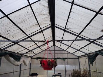 Skleník s polykarbonatu - 4