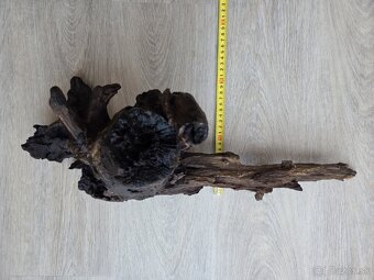 Koreň do akvária / terária - 4