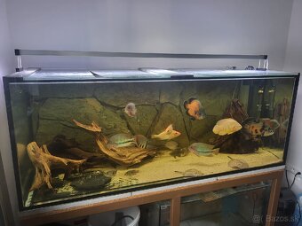 LED osvetlenie akvária 200cm/120w - 4