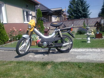 Korado manet Poliny 70 - 4