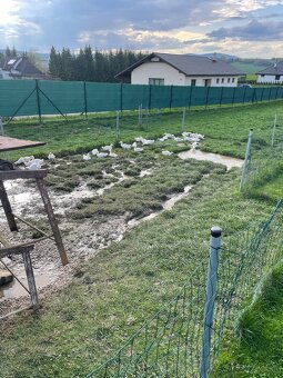 Kačky husokačky - 4