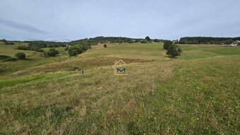 ROZĽAHLÝ REKREAĆNÝ POZEMOK, DETVIANSKA HUTA - BRATKOVICA - 4