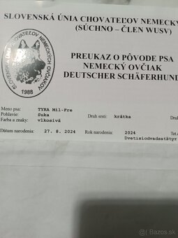 Nemecký ovčiak - 4