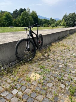 Ghost Lector Advanced - 4