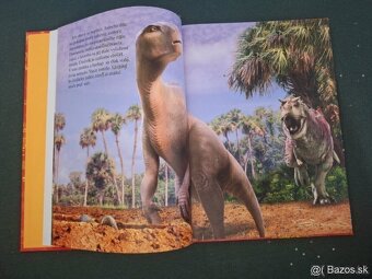 Walt Disney Luxus - 4