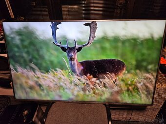 Sony KD-55"(139 cm) 4K SMART ANDROID WiFi - 4