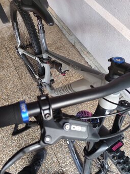 Canyon neuron 5 - 4