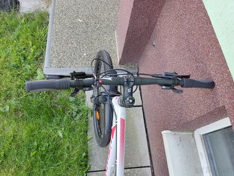 Predám dámsky bicykel DEMA Tigra 7.0 - 4