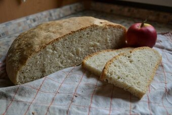 kvások lievito madre - 4