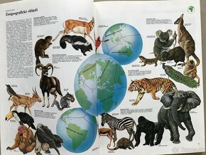 Krtko a dáždnik, Veľký atlas živočíchov, 1500 anglických slo - 4