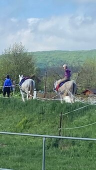 Jazdenie na koni - 4