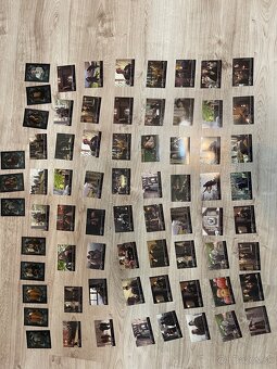 Harry potter karty - 4