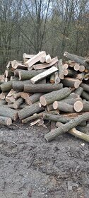 Akcia Predám tvrdé palivové drevo metrina - 4