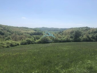 Pekný pozemok (3,2ha) na Hrušove okres Veľký Krtíš. - 4