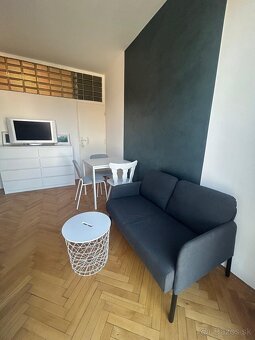 1izb byt s parkovanim a klimatizaciou v BA Nové Mesto - 4