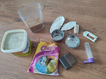 Andulka – dvojročný samček s kompletnou výbavou 🐦 - 4