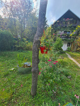 Záhrada s murovanou chatou s nádherným výhľadom - 4