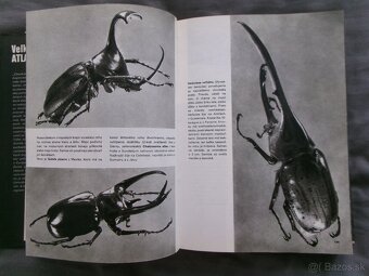 Veľký obrazový atlas zvierat - Václav Jan Staněk. - 4