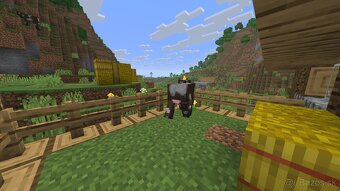 Predam Kockatu Kravu - 4