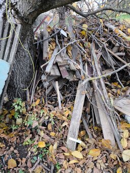 Darujem drevo na kurenie - 4