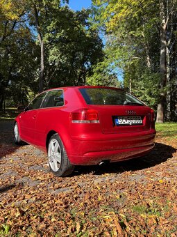 Audi A3 8P 2.0 TDI - 4