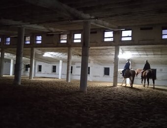 Boxové ustajnenie - 4