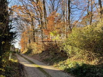 Predaj chatky v oblasti Púšť (033-13-ZUPIa) - 4