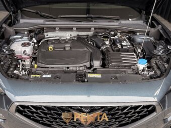 ⭐ CUPRA FORMENTOR 4x4 ⭐ - 4