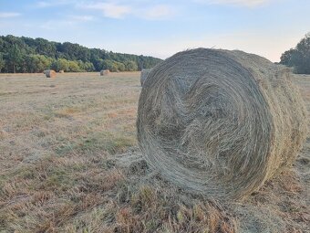Kosenie, mulčovanie, hrabanie, balíkovanie - 4