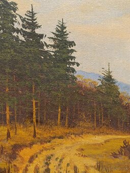 Obraz Vladimír Vondráček, olej na plátně 25x31 - 4