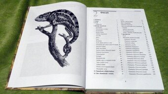 Chameleoni - Petr Nečas - 4