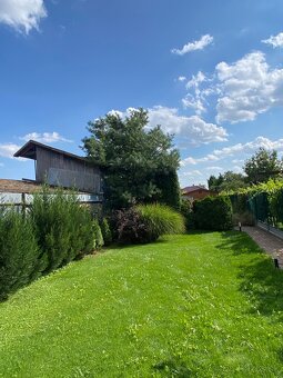 Kosenie/Strihanie/Údržba zelene/Pílenie /Drvenie - 4