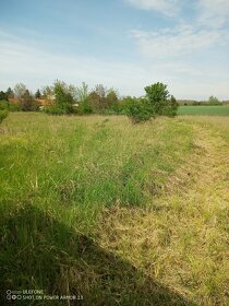 Rekreačný pozemok 878m² - Predaj - 4