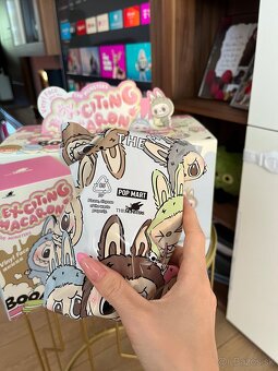 Labubu macaron - 4