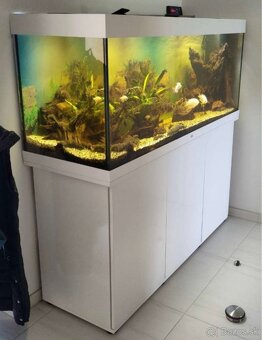 Juwel Rio450 - 4